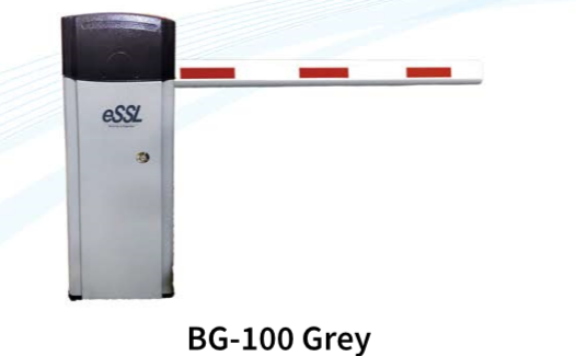 BG100 Gray